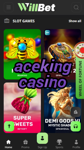 AceKing Casino - Premium VIP Casino-www.bdqngd.com